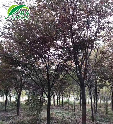 輔材生產(chǎn)車間
